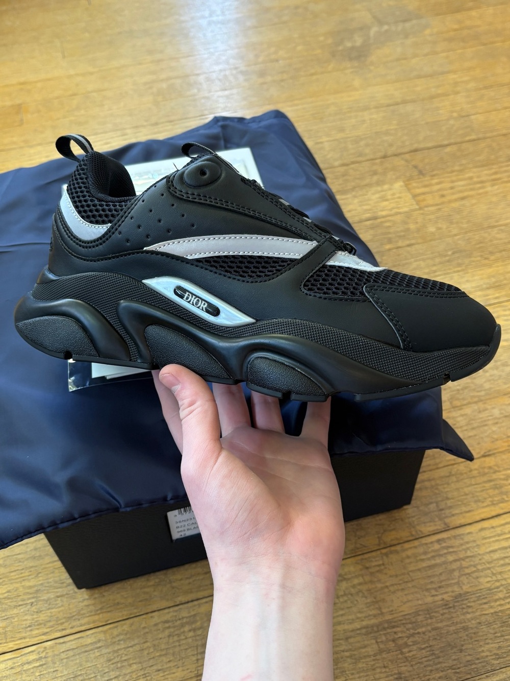 Dior B22